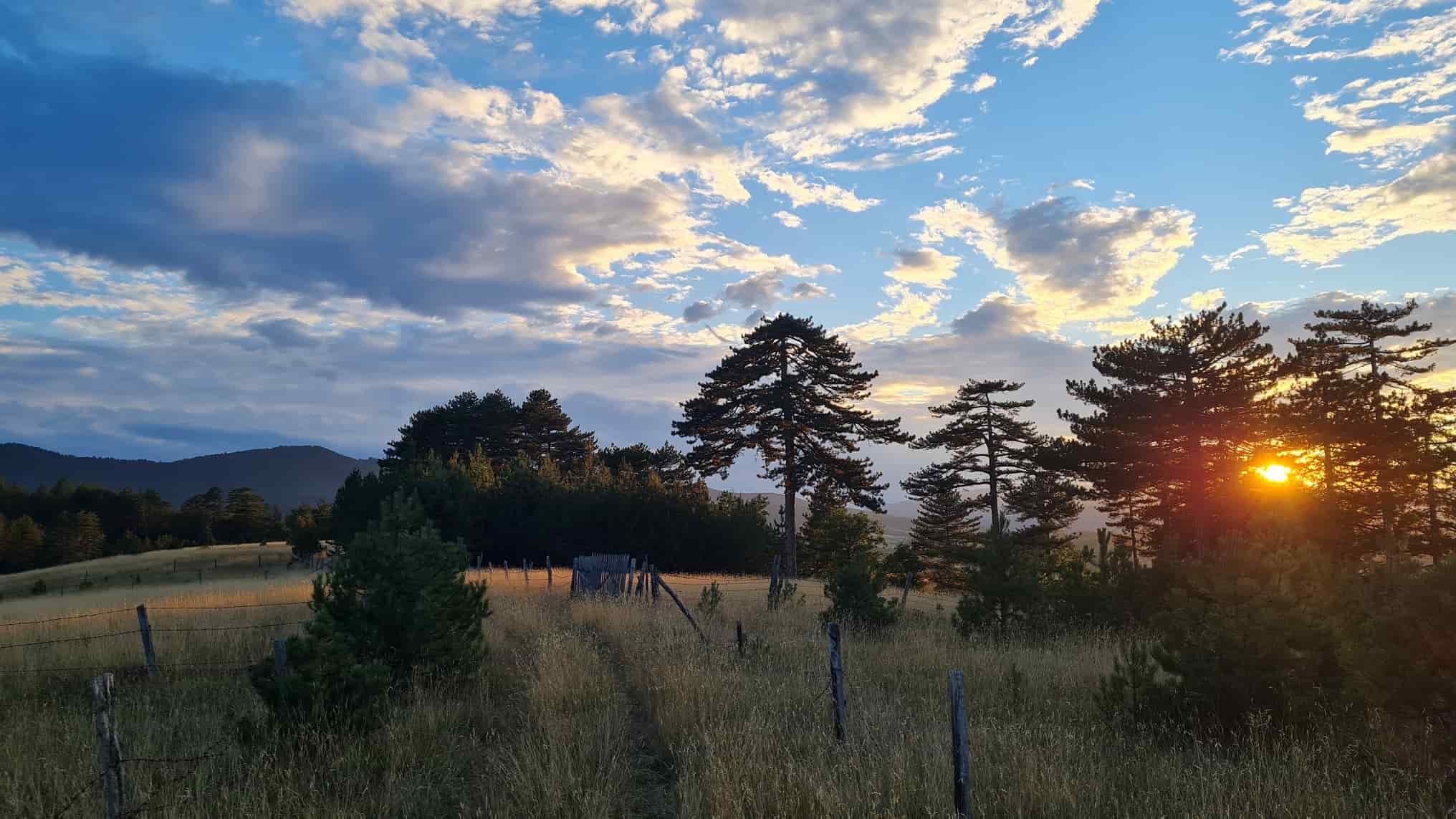 Vikendica Livadica - miran odmor u prirodi na Tari