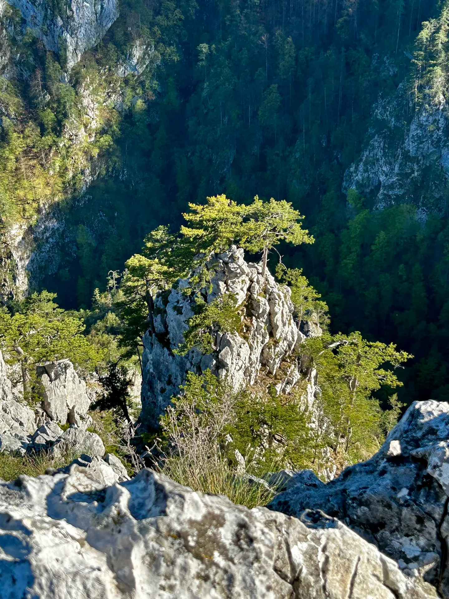 Vidikovac Sokolarica